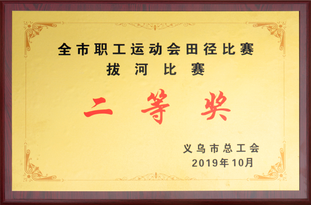 2019年全市职工运动会田径比赛拔河比赛二等奖