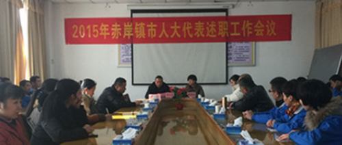 赤岸镇市人大代表述职会 集团总经理冯小义作述职报告